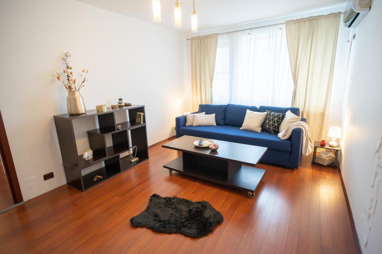 Spacious 2Br Dristor Apartment Boekarest Buitenkant foto